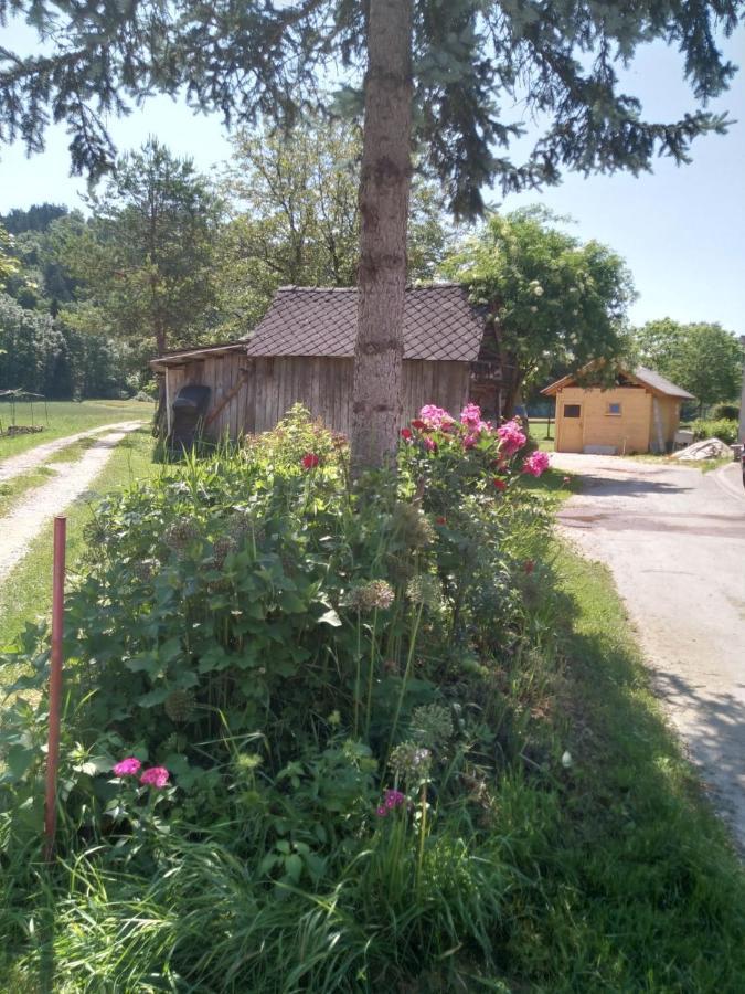 Sobe Zeleni Raj Διαμέρισμα Podnart Εξωτερικό φωτογραφία